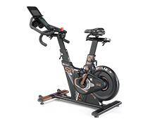 IC990 IC990 SB7 TRON精功率磁控後驅飛輪車